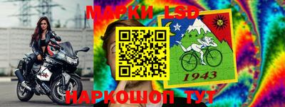 крисы Нальчик