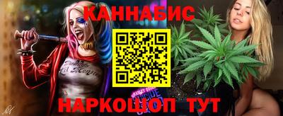 крисы Нальчик