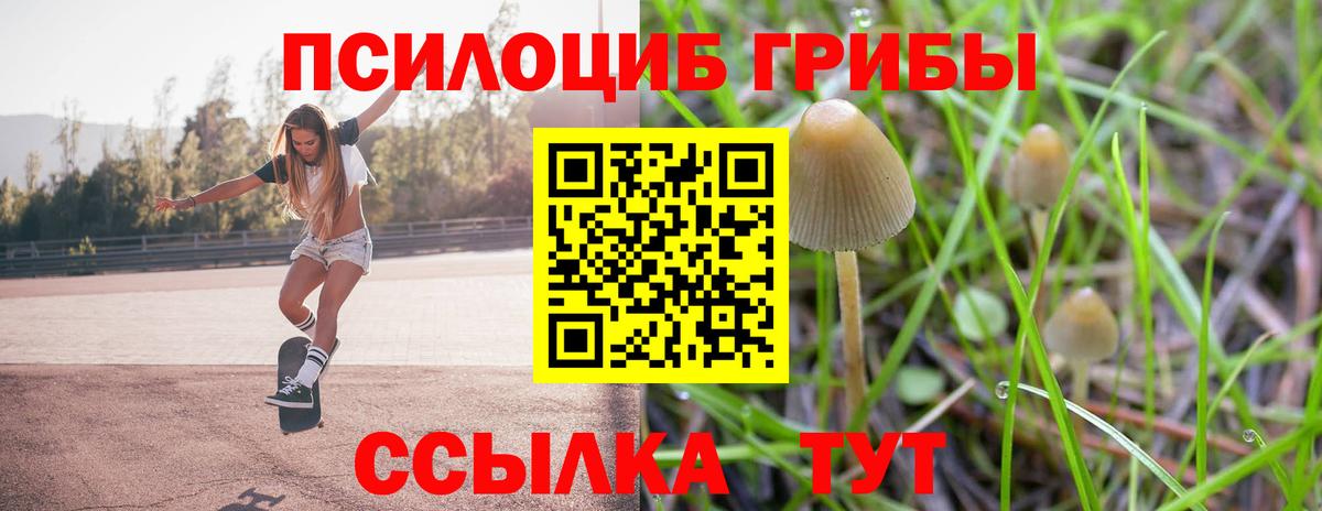Галлюциногенные грибы MAGIC MUSHROOMS Юрга