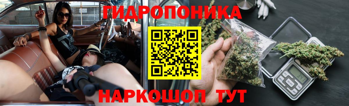 Каннабис White Widow  Каннабис Bruce Banner  Юрга  МАРИХУАНА марихуана  Вход с VPN  Канабис SATIVA & INDICA 